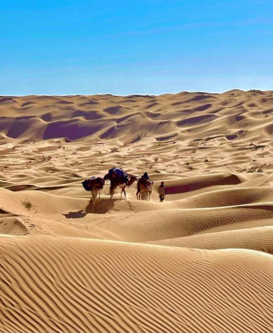 Grand Sud, La Maison De Sable Douz Luaran gambar